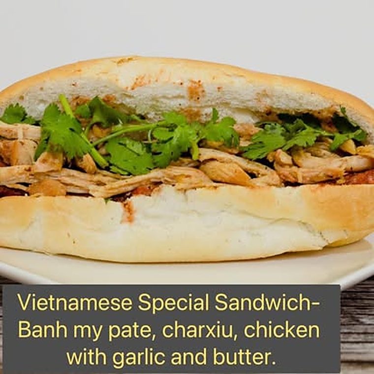 Vietnamese special banh mi with pate, char xiu and chicken